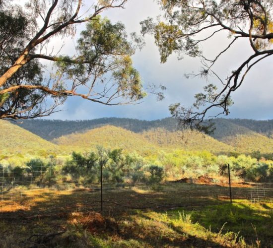 Mt Remarkable, Melrose South Australia